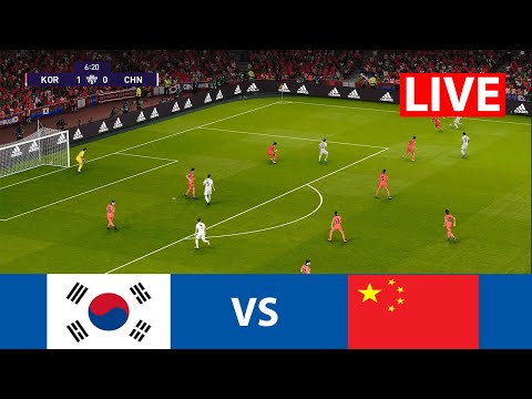 世界杯2026年比赛观看